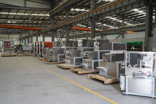 鹽城洗衣皂設備供應技術咨詢